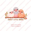 画像1: 新作お試し販売10％OFF〜8/17まで【名入れ・文字変更OK】文鳥３羽 フルカラー転写アイロンシート/かわいい小さな鳥たち (1)