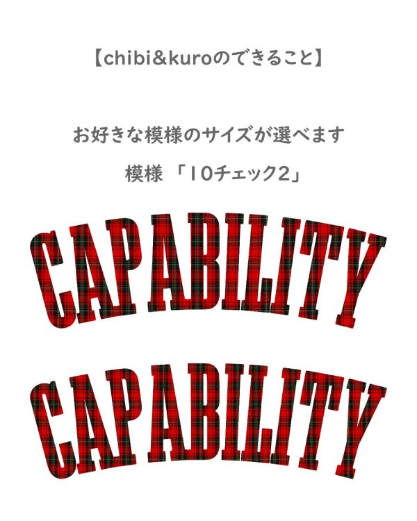 画像4: カレッジロゴ風 文字アイロンシート【B】｜選べるA〜N 全14種・アメカジ＆アーミーデザイン (4)