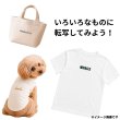 画像5: 【200円SALE】プレゼント付き◆はがし済◆文字ロゴ 詰め込みセット｜アイロン転写シート お試しセット　20ｘ7ｃｍ◆ (5)