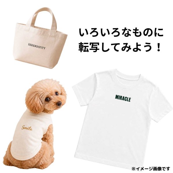 画像5: 【200円SALE】プレゼント付き◆はがし済◆文字ロゴ 詰め込みセット｜アイロン転写シート お試しセット　20ｘ7ｃｍ◆ (5)