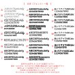 画像3: 【文字変更OK】お好きな文字で作れる バレエシューズ アイロンシート｜お名前・レッスンバッグ・巾着に (3)