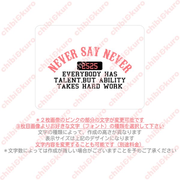 画像2: 【文字変更OK】アメカジ風文字ロゴ アイロンシート｜いつもの服をアメカジスタイルに (2)
