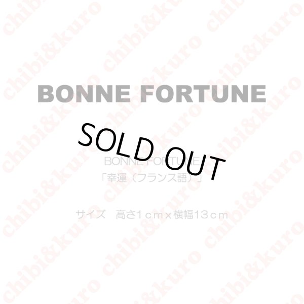 画像1: 【50％OFF】BONNE FORTUNE・幸運（フランス語）(1)　高さ1cmx13cm (1)